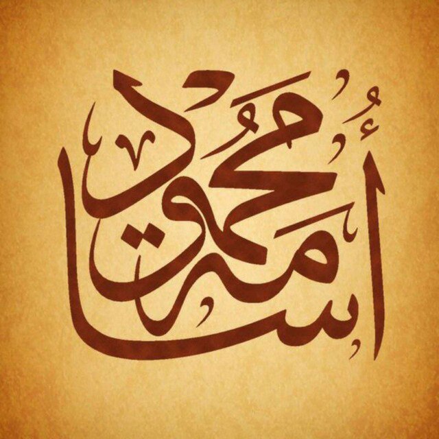 اسامہ محمود